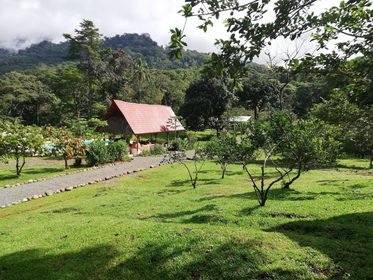 Hacienda Mil Bellezas - Private 40Ha Jungle Reserve Quepos Εξωτερικό φωτογραφία