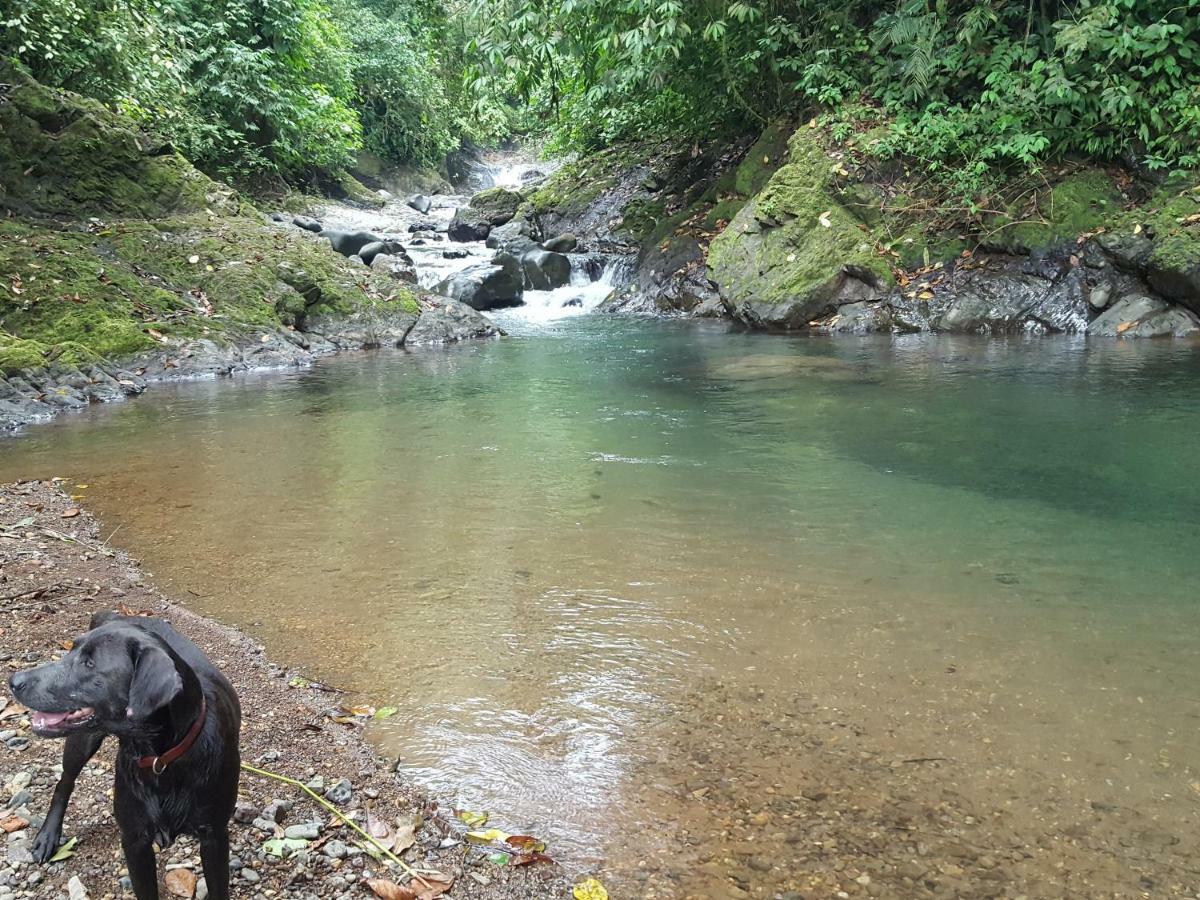 Hacienda Mil Bellezas - Private 40Ha Jungle Reserve Quepos Εξωτερικό φωτογραφία