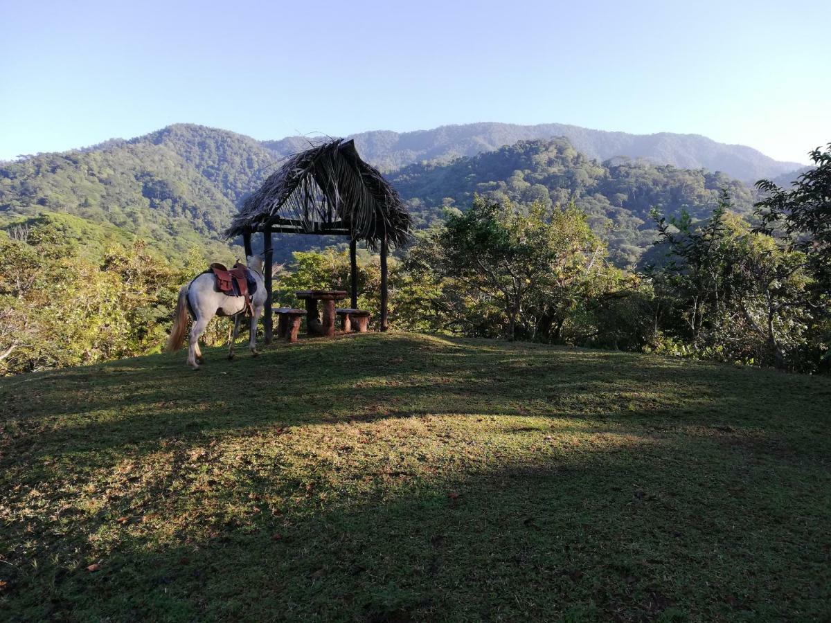 Hacienda Mil Bellezas - Private 40Ha Jungle Reserve Quepos Εξωτερικό φωτογραφία