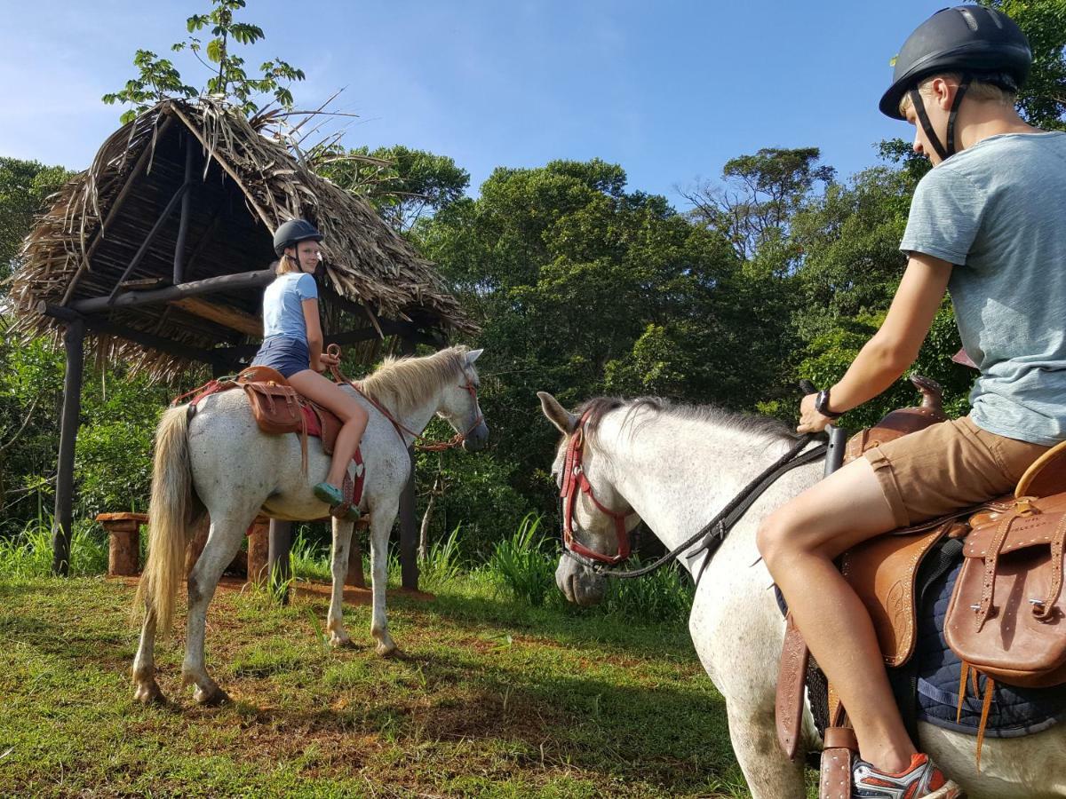 Hacienda Mil Bellezas - Private 40Ha Jungle Reserve Quepos Εξωτερικό φωτογραφία